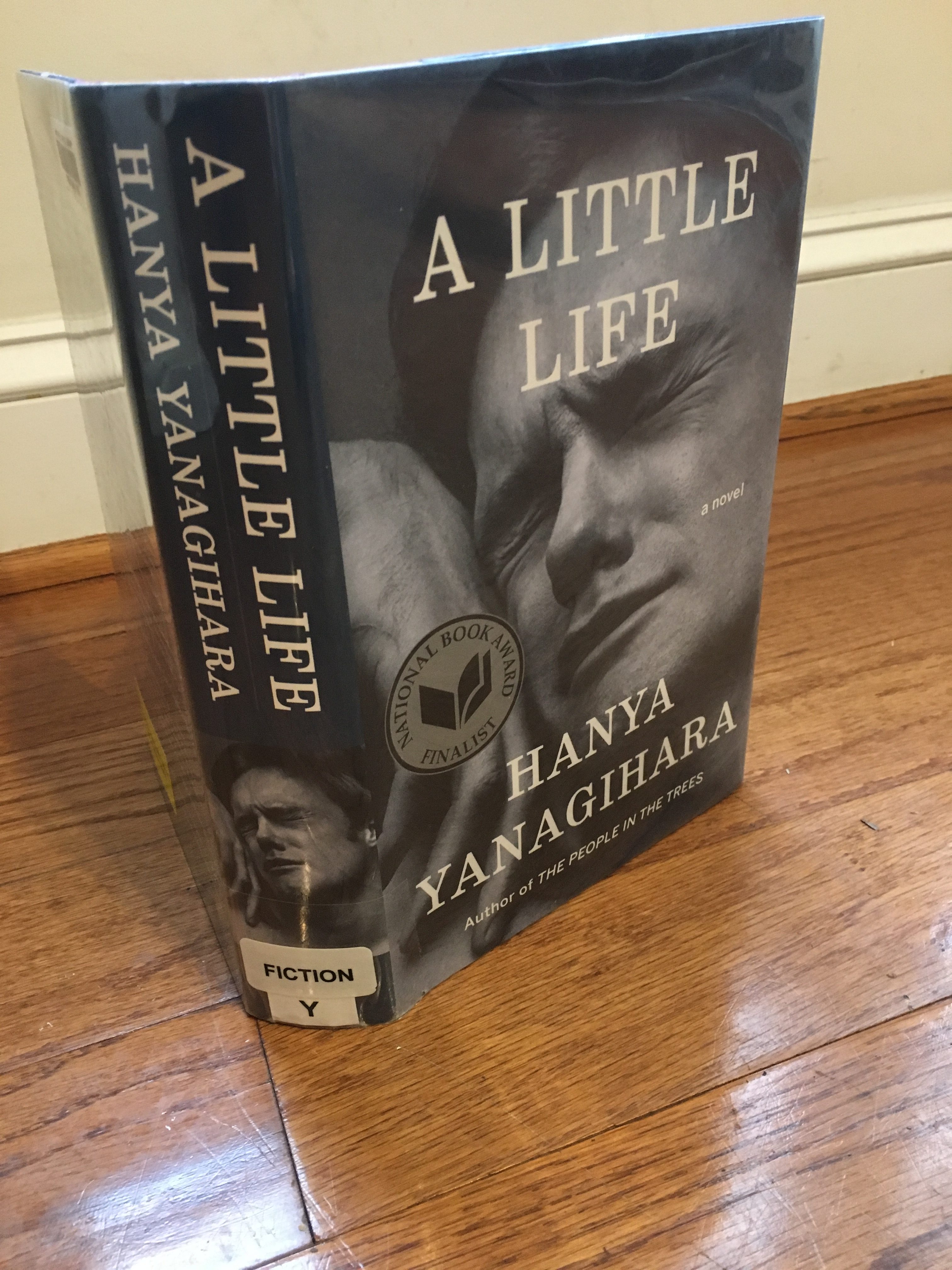 A Little Life, the library version